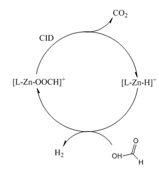 a catalytic cycle