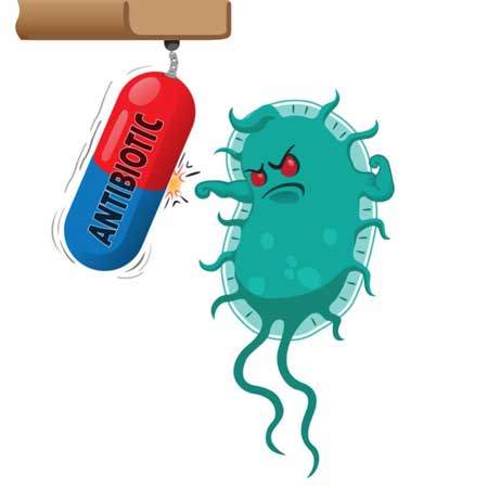 Antimicrobial Resistance
