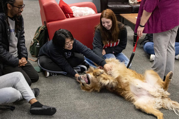 Isidora Kostic in the Founders Library playing with therapy dog