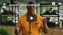 Botanic Value Video