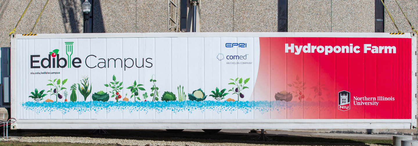 Our self-contained hydroponic farm allows fresh greens to flourish all year long.