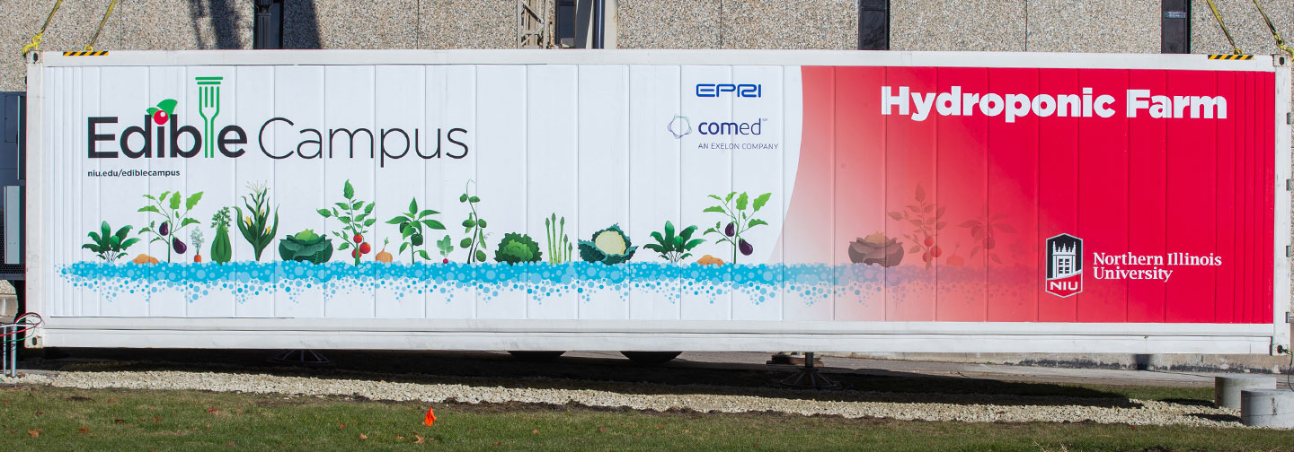 Our self-contained hydroponic farm allows fresh greens to flourish all year long.