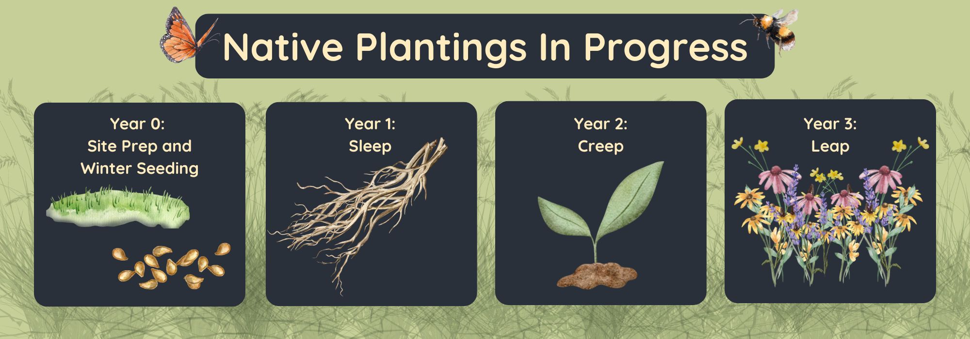Native plantings in progress. Year 0: site prep and winter seeding. Year 1: sleep. Year 2: creep. Year 3: leap.